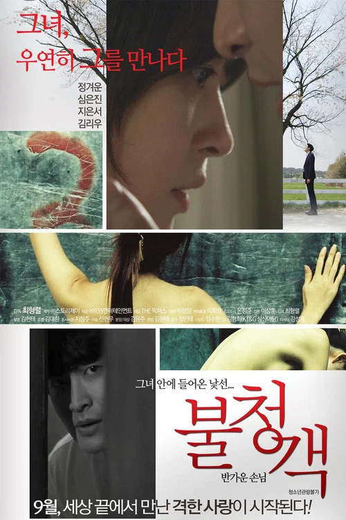 不速之客 – 請進客人(2016)海報