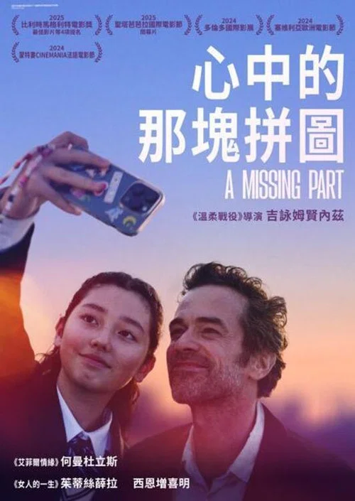 缺失的部分(2024)海报