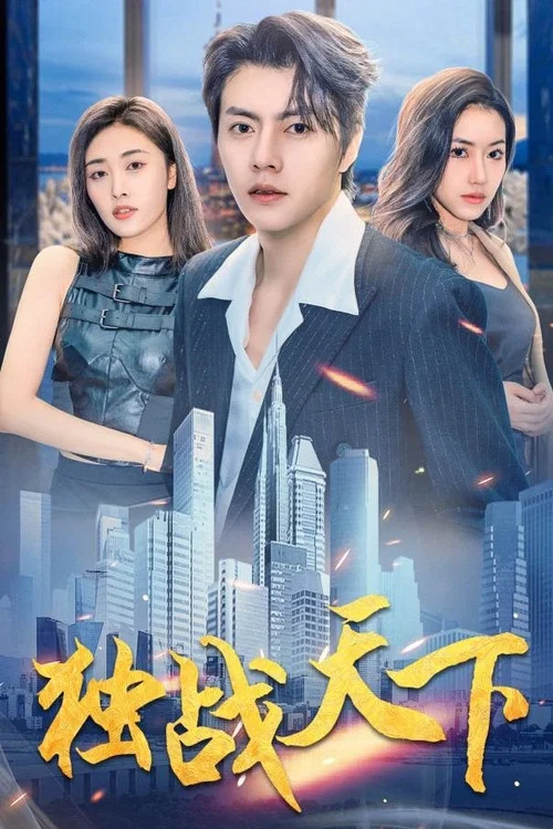 独战天下(2024)海报