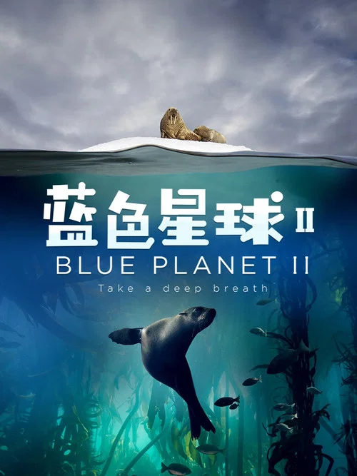 蓝色星球(中配版)(2017)海报