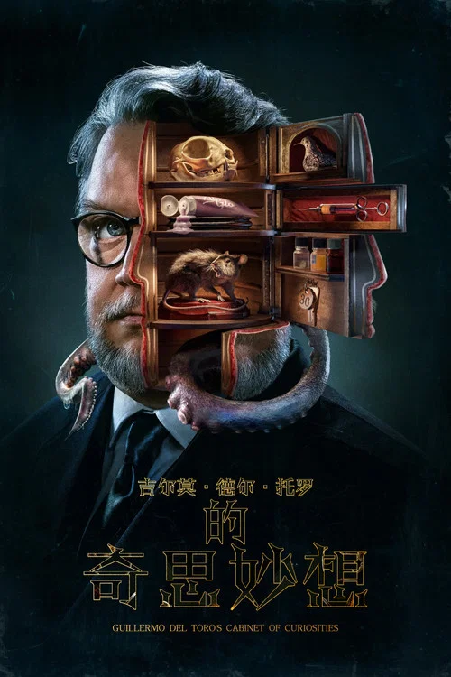 吉尔莫·德尔·托罗的奇思妙想(2022)海报