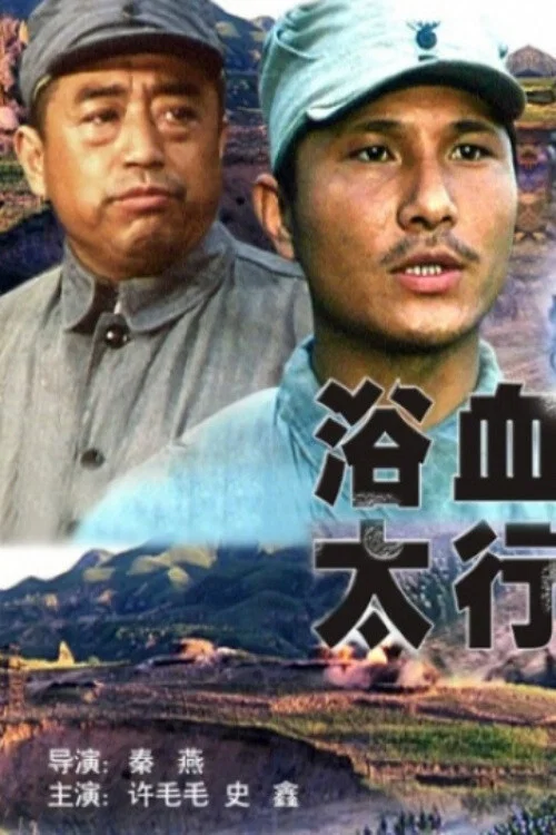 浴血太行(1996)海報