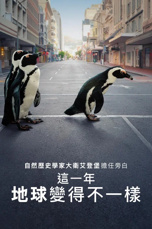 地球改变之年海报