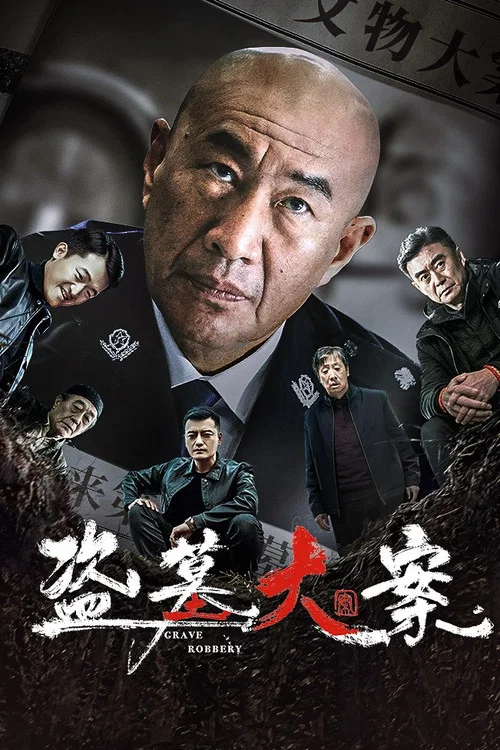 盗墓大案(2026)海报