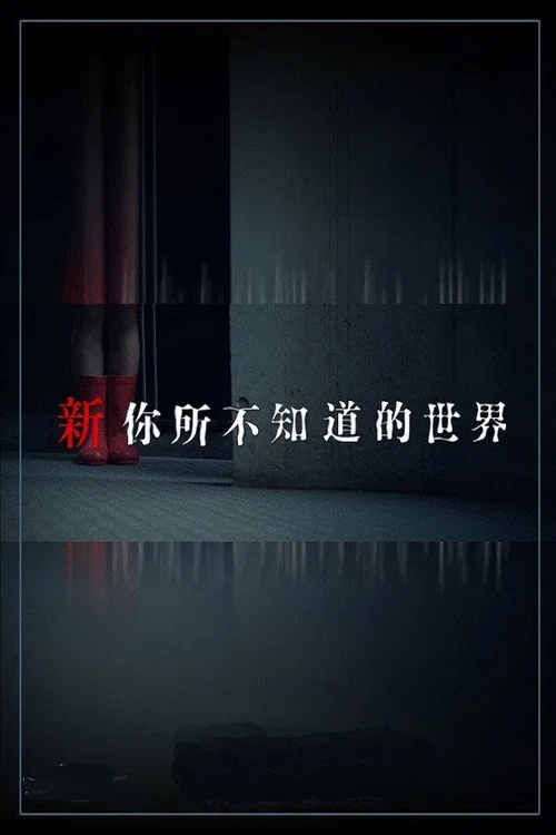 新你所不知道的世界(2011)海報