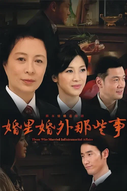 婚裡婚外那些事(2014)海報