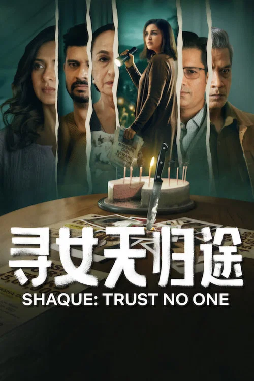 寻女无归途(2026)海报