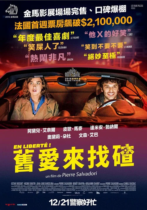 自由了!(2018)海報