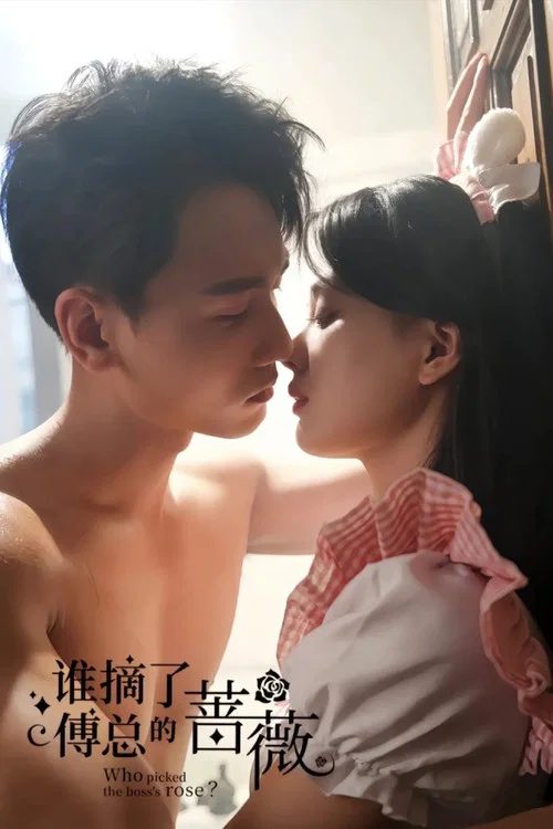 谁摘了傅总的蔷薇剧照2