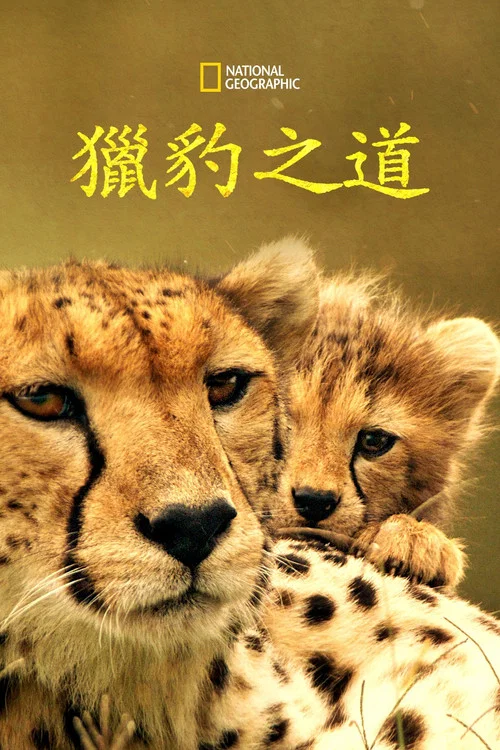 獵豹之道(2022)海報