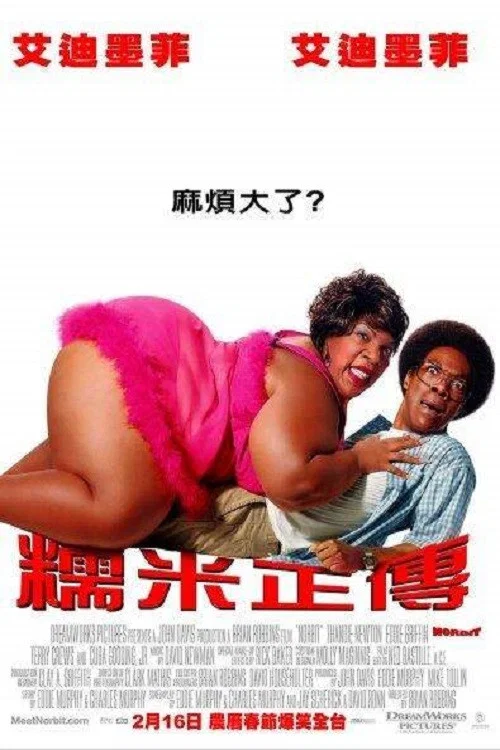 诺比特(2007)海报