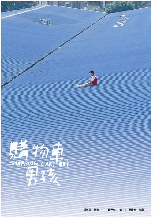 推车男孩(2007)海报