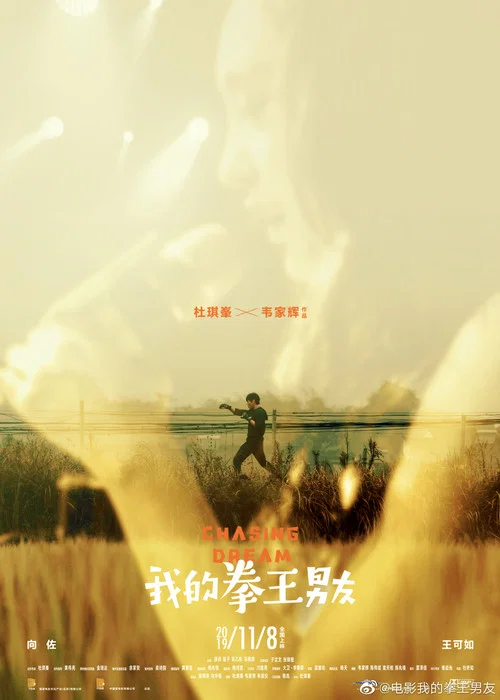 我的拳王男友(2019)海報