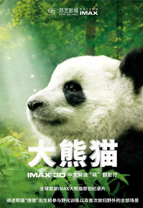 大猫剧照3