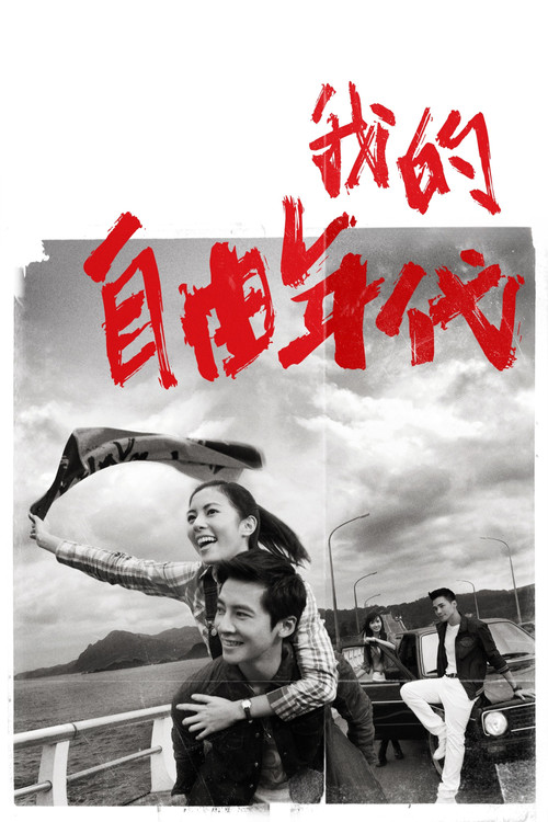 我的自由年代(2013)海报