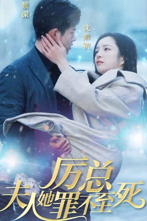 厲總夫人她罪不至死(2024)海報