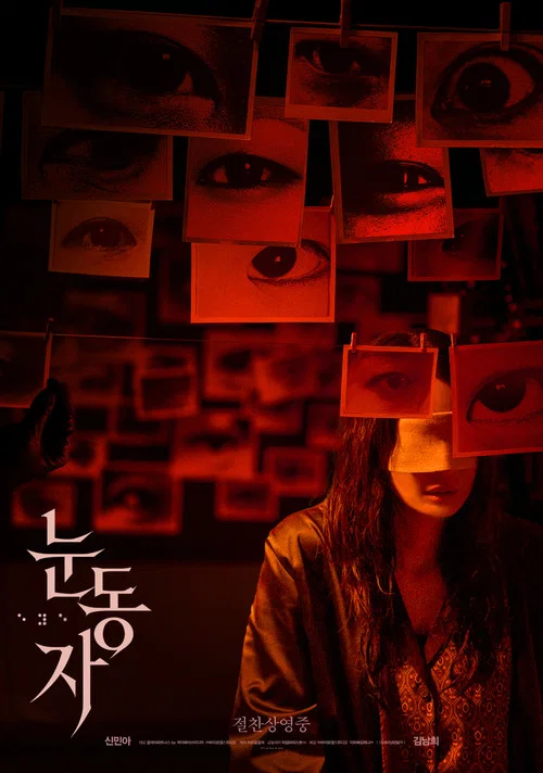 眼眸(2026)海报