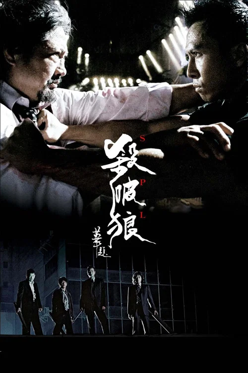杀破狼 粤语版(2005)海报
