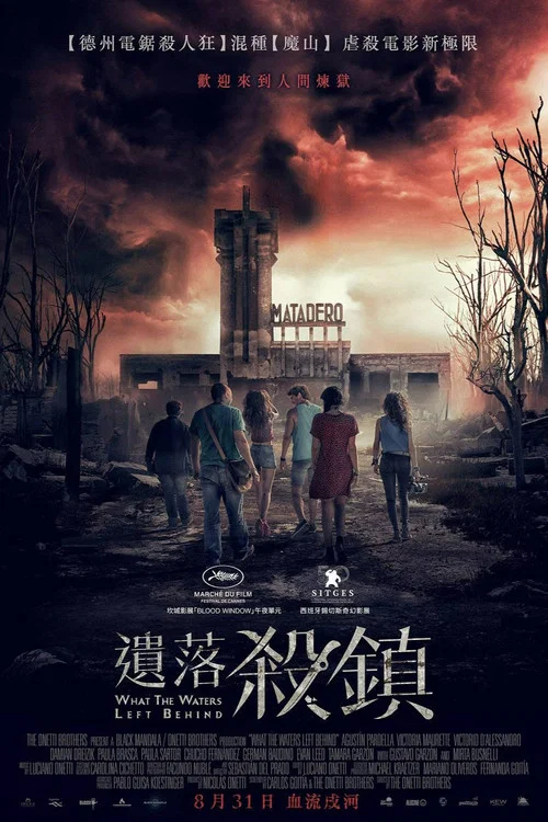 退水之后(2017)海报
