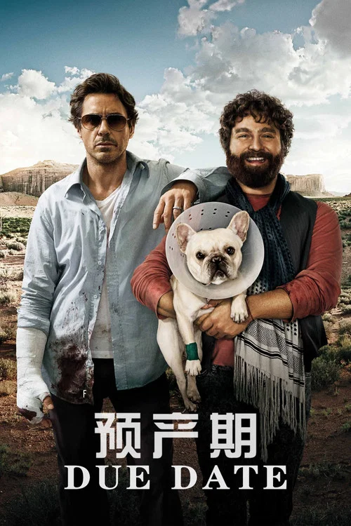 预产期(2010)海报