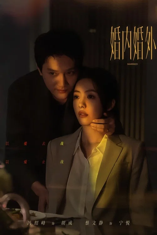 婚內婚外劇照3