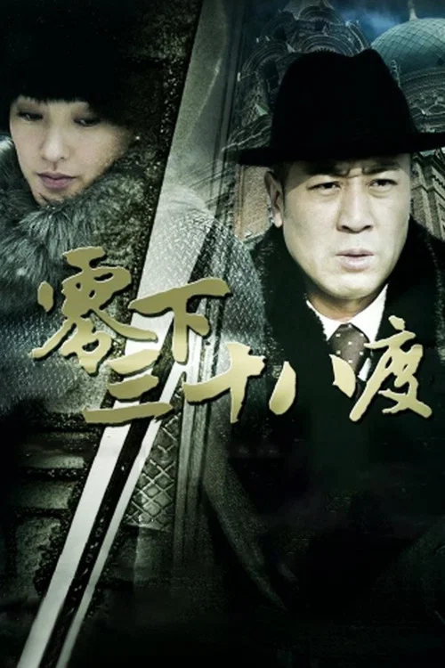 零下三十八度(2013)海報