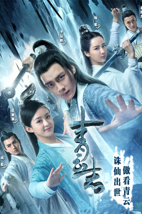 青云志2(2016)海报