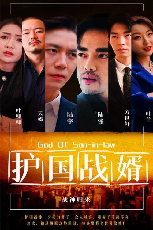护国战婿(2023)海报