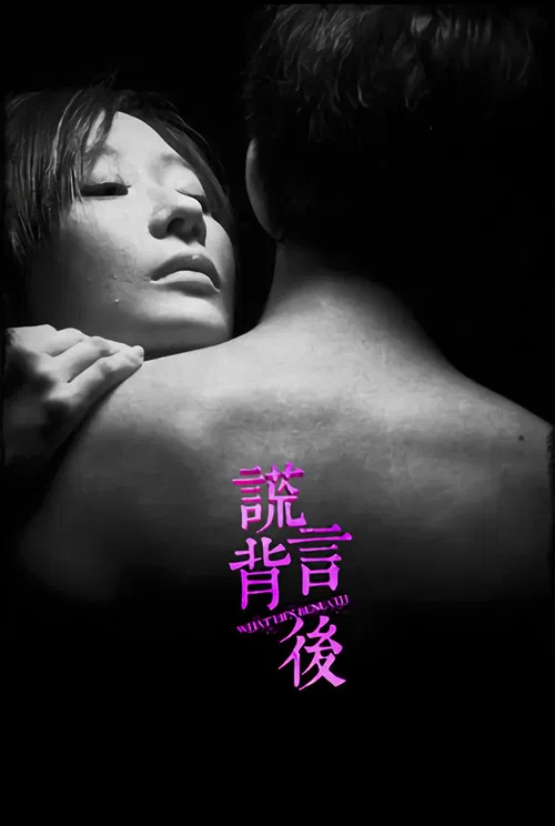 谎言背后(2013)海报