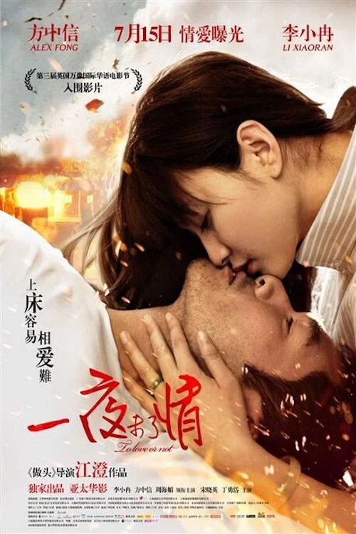 一夜未了情(2011)海報