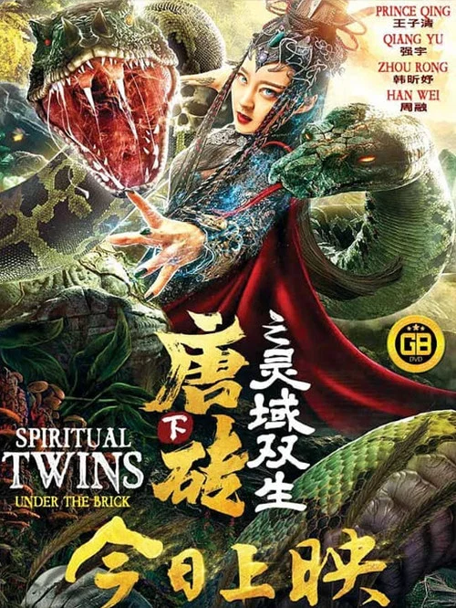 唐砖下之灵域双生剧照2