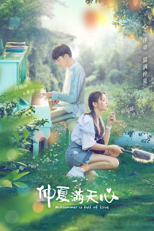 仲夏满天心(2020)海报