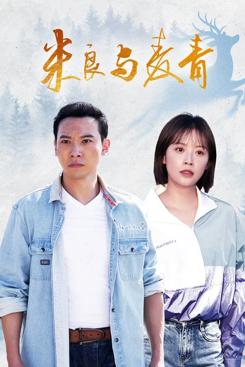 米良与麦青(2026)海报
