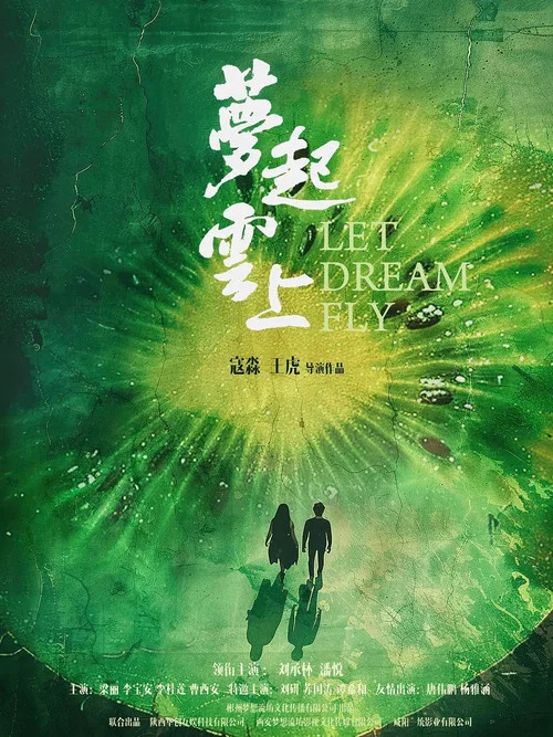 梦起云上(2024)海报