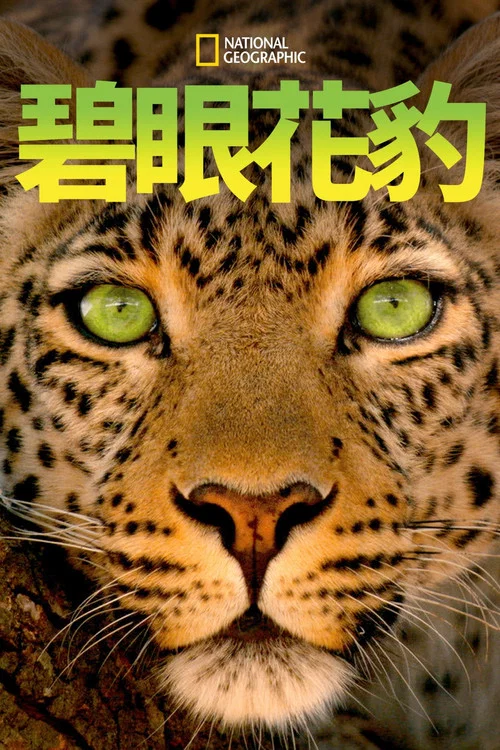 碧眼花豹(2020)海报