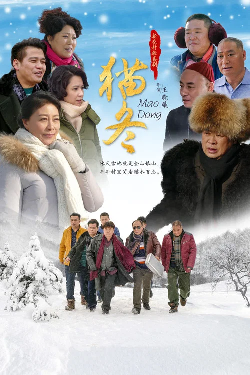 猫冬(2020)海报