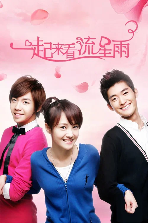 一起来看流星雨(2009)海报