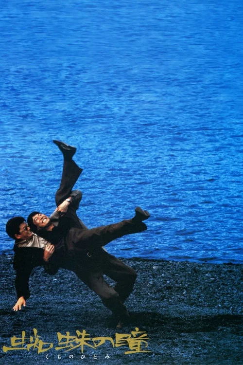蜘蛛之瞳(1998)海报