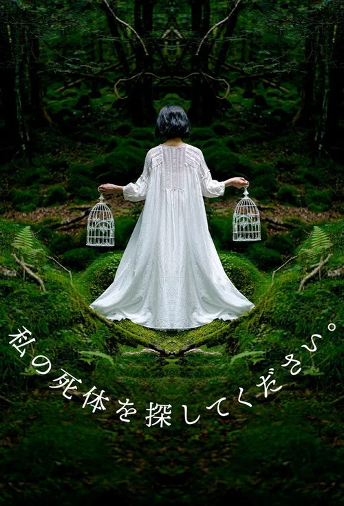 請尋找我的屍體(2024)海報
