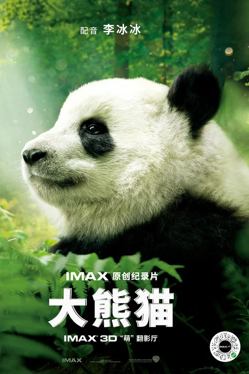 大猫剧照2