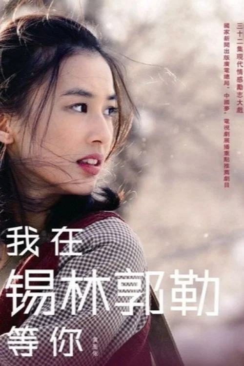 我在錫林郭勒等你(2015)海報