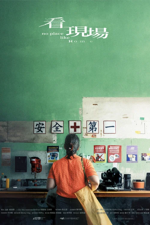 看(2025)海报