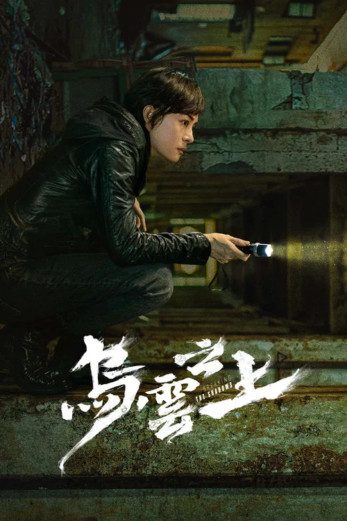 乌云之上剧照5