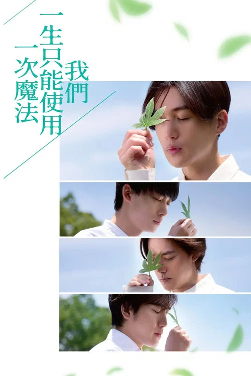我们一生中只能使用一次魔法(2025)海报