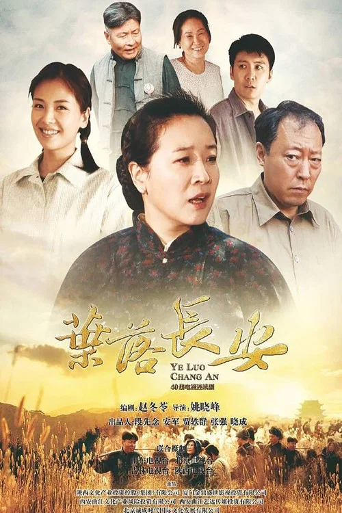 叶落长安(2011)海报
