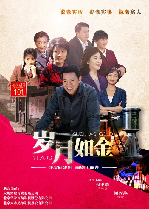 岁月如金(2015)海报