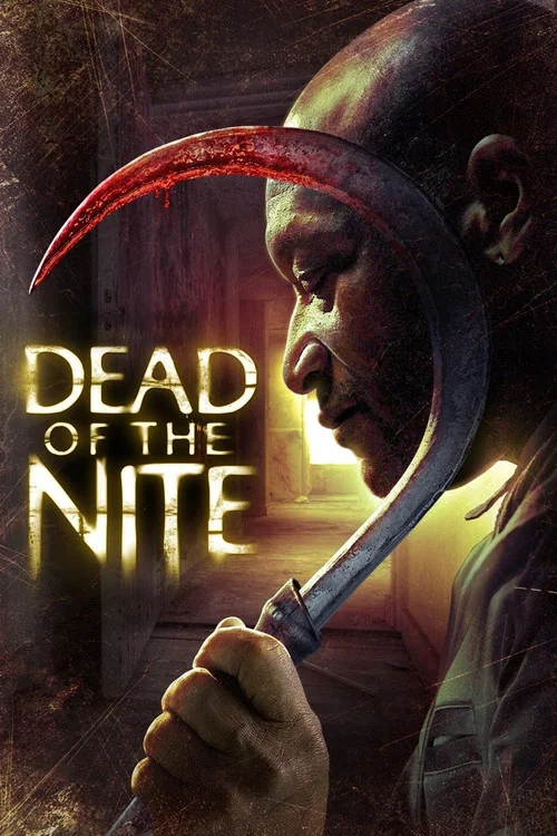 死亡黑夜(2013)海報