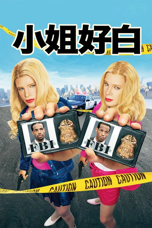 小姐好白(2004)海報
