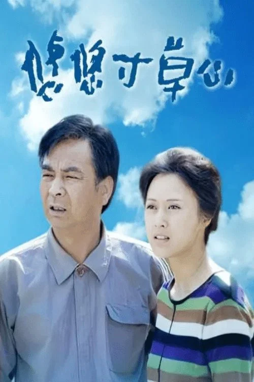 悠悠寸草心(2006)海报