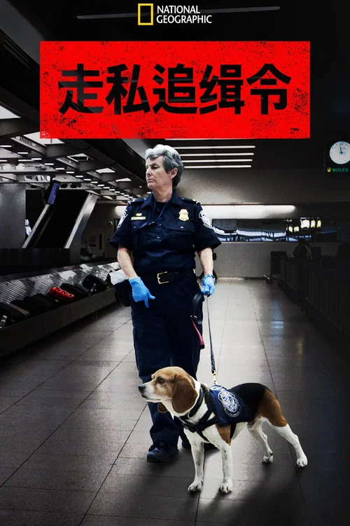 走私追緝令 第八季劇照4